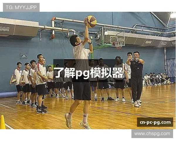 如何选择适合自己的PG电子模拟器，满足不同玩家的个性化需求与游戏偏好